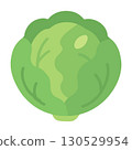 Green Cabbage Illustration 130529954