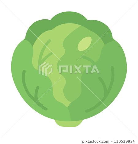 Green Cabbage Illustration Green Cabbage Illustration 130529954