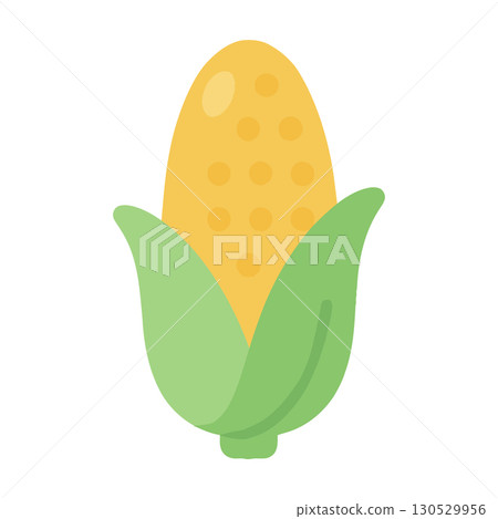 Yellow Corn Illustration 130529956