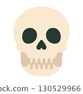 Human Skull Bone Illustration 130529966