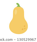 Butternut Squash Illustration 130529967