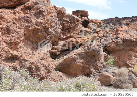 Volcanic rock formations with desert vegetation in Teide National Park, Tenerife, Canary Islands 130530505