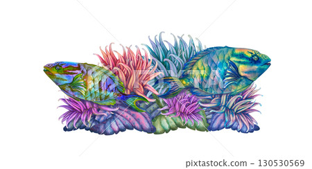 Rainbow tropical parrotfish among colorful corals, anemones. Underwater seascape in watercolor template for design, cards, posters, children's books, stickers, scrapbook, textiles, diving, snorkeling. Rainbow tropical parrotfish among colorful corals, anemones. Underwater seascape in watercolor template for design, cards, posters, children's books, stickers, scrapbook, textiles, diving, snorkeling. 130530569