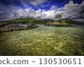 Small Island with Lone Tree 130530651