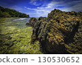 Coastal Rock Formation 130530652