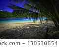 Beach with Palm and Turquoise Water 130530654