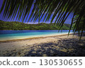 Beach with Palms and Turquoise Sea 130530655