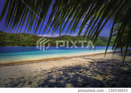 Beach with Palms and Turquoise Sea Beach with Palms and Turquoise Sea 130530655