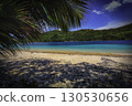View of Beach with Palm and Blue Sea 130530656