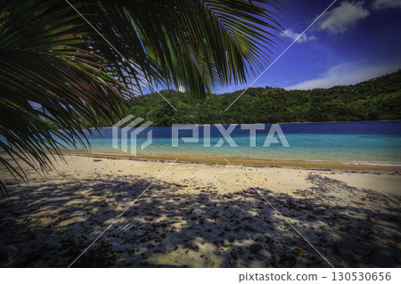 View of Beach with Palm and Blue Sea 130530656