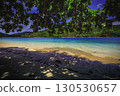 Beach with Palms and Turquoise Ocean 130530657