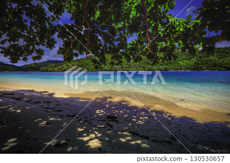 Beach with Palms and Turquoise Ocean 130530657