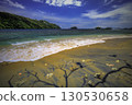 Coast with Palms and Blue Ocean 130530658