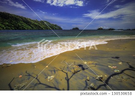 Coast with Palms and Blue Ocean 130530658