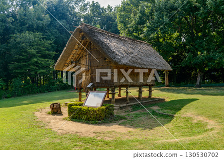 Remains of raised-floor dwellings, Otsuka-Saikado Ruins Park (Kohoku New Town, Tsuzuki Ward, Yokohama City, Kanagawa Prefecture) 130530702