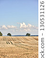 Rural fields at the coast of the baltic sea in Denmark 130531126