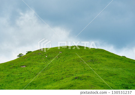 The nature of the Khasansky district of Primorsky Krai, Russia. The lip of the Teal of the Slavic Bay, the inner bay of Peter the Great in the summer. The nature of the Khasansky district of Primorsky Krai, Russia. The lip of the Teal of the Slavic Bay, the inner bay of Peter the Great in the summer. 130531237