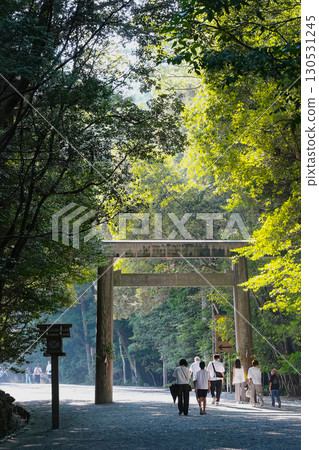 Ise Jingu Inner Shrine: Sunlight filtering through the trees as the approach and torii gate 130531245