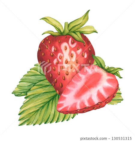 Watercolor illustration of whole and halved strawberries on green leaves. Bright and juicy Berries isolated. Botanical illustration. Ripe sliced strawberries for tea, jam or cosmetics label Watercolor illustration of whole and halved strawberries on green leaves. Bright and juicy Berries isolated. Botanical illustration. Ripe sliced strawberries for tea, jam or cosmetics label 130531315