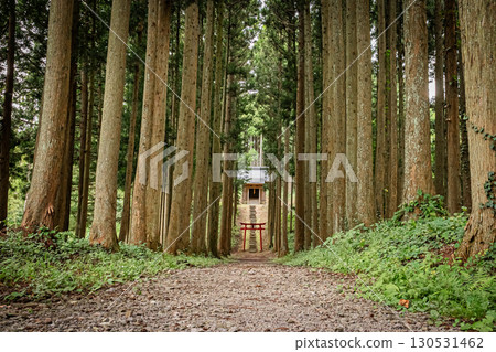 The historic shrine and natural scenery of Onoso Shrine in Yuza Town, Yamagata Prefecture The historic shrine and natural scenery of Onoso Shrine in Yuza Town, Yamagata Prefecture 130531462