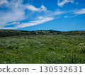 Summer scenery of Kurumayama Highlands 130532631