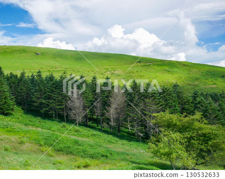 Summer scenery of Kurumayama Highlands 130532633