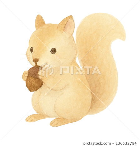 一隻松鼠叼著橡子的插圖（秋天，可愛的動物） 130532784