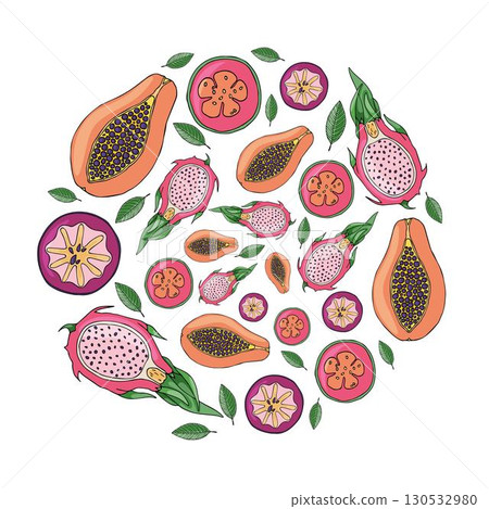 Delicious tropical fruits in the shape of a circle. Vector hand drawing, papaya, pitaya, caimito, guava 130532980