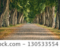Old alley with gravel road in rural countryside 130533554