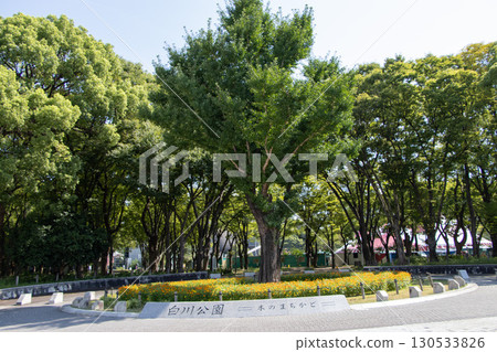 Shirakawa Park, Nagoya 130533826