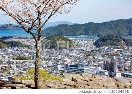 從佐伯城山歷史公園眺望佐伯市街和豐後水道 從佐伯城山歷史公園眺望佐伯市街和豐後水道 130534268