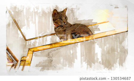 sketch style cat cat cat kijitora gray female female female cat female cat healthy pretty healing 130534687