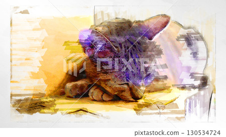 sketch style cat cat cat kijitora gray female female female cat female cat healthy pretty healing sketch style cat cat cat kijitora gray female female female cat female cat healthy pretty healing 130534724
