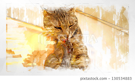 sketch style cat cat cat kijitora gray female female female cat female cat healthy pretty healing 130534883