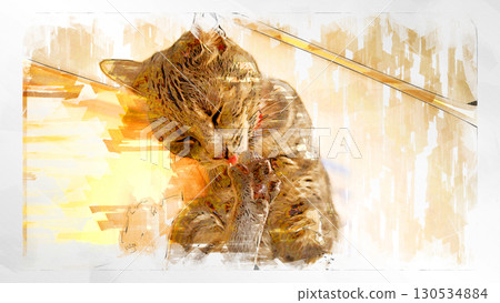 sketch style cat cat cat kijitora gray female female female cat female cat healthy pretty healing 130534884