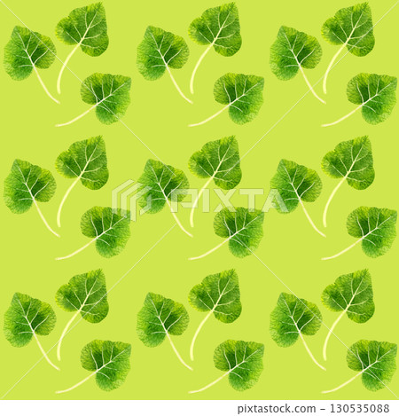 無縫隙的芥末葉圖案。手繪水彩插畫背景素材。 130535088