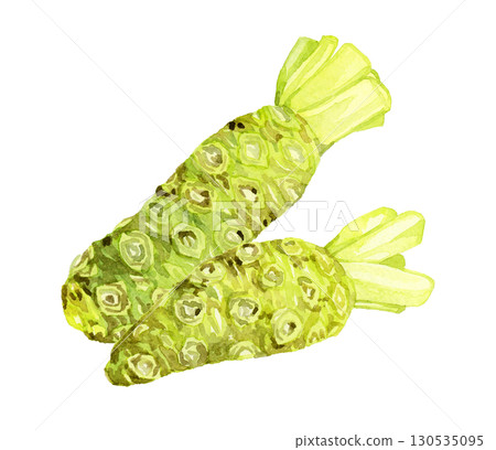 芥末套裝-手繪水彩插圖的蔬菜和調味品 130535095