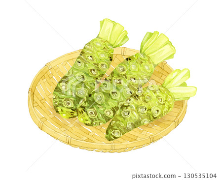 竹濾網上的新鮮芥末。手繪水彩畫，描繪蔬菜和調味品。 130535104