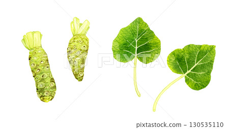 一套芥末和芥末葉。手繪水彩畫,描繪蔬菜和調味品。 一套芥末和芥末葉。手繪水彩畫,描繪蔬菜和調味品。 130535110
