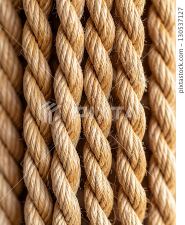 Detailed Macro of Thick Tan Ropes with Spiraled Strands and Vertical Alignment in Neutral Lighting 130537127