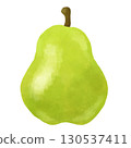 Pears illustration 130537411