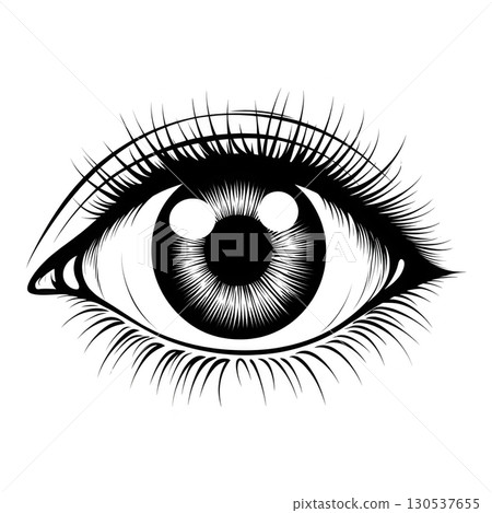 A detailed black and white illustration of human eye features intricate eyelashes and textured iris, creating striking and artistic visual. monochrome design emphasizes eye natural beauty 130537655
