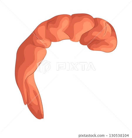 Illustration of shrimp 130538104