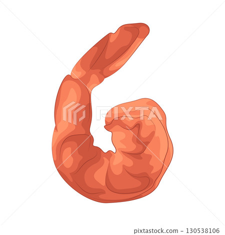 Illustration of shrimp 130538106