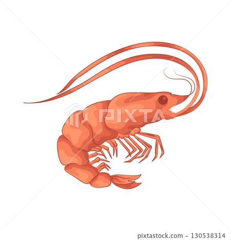 Illustration of shrimp 130538314
