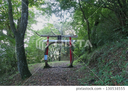 Ashigara Shrine ruins: Torii gate with a Kayano ring [Ashigara Castle ruins] Yagurasawa, Minamiashigara City, Kanagawa Prefecture 130538555