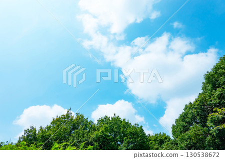 藍天，白雲和樹林 130538672