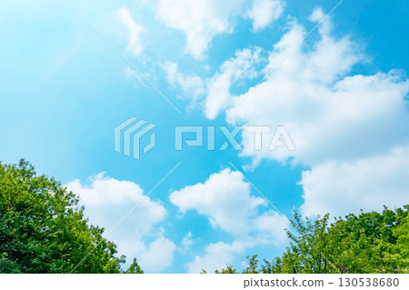 Blue sky, clouds and grove 130538680