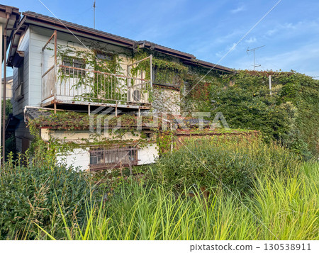 空置且雜草叢生的房子 130538911