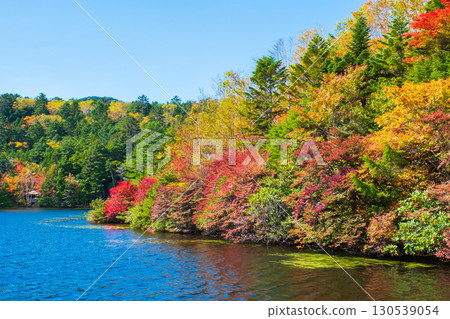Shirakoma pond in autumn Shirakoma pond in autumn 130539054